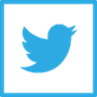 Twitter Logo designed by Dreamstale